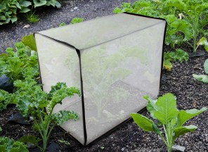 18399 - insect resistant plant cover in-situ